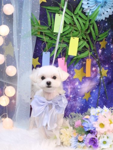 20250701レイくん